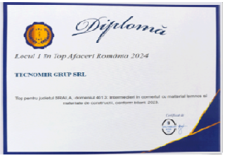 top Afaceri 2024